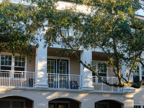 A residential apartment building is surrounded by mature trees and lush greenery. Sunlight and elegant balconies create an attractive suburban living environment.