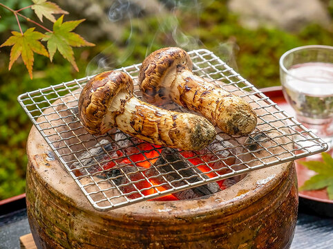 七輪の網焼きで焼くマツタケと日本酒