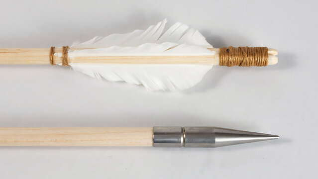 Macro view of wooden arrow with white feather fletching and steel arrow head fletching equipment projectile medieval tradition accuracy outdoors recreation historic precision