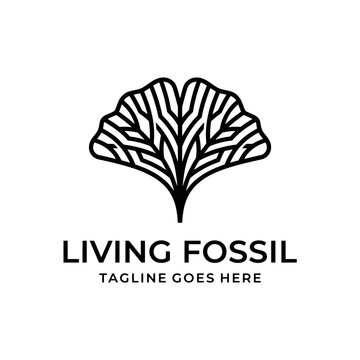 Graphic ginkgo leaf logo for wellness brand.