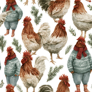 Farmhouse chicken pattern with roosters and cozy dressed chickens sweaters, surrounded by green pine branches, festive