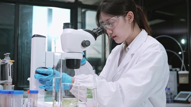 Dedicated Asian female scientist holding beaker with green leaves and adjusting microscope in sterile cleanroom laboratory for eco-friendly biotechnology and botany agriculture research.