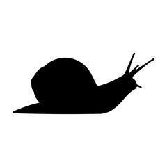 Silhouette of a Snail on a Plain Background.