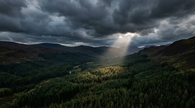 Dramatic sunrays piercing bruised storm clouds over a wide dense dark pine forest valley between rolling rural hills in moody atmospheric landscape photography