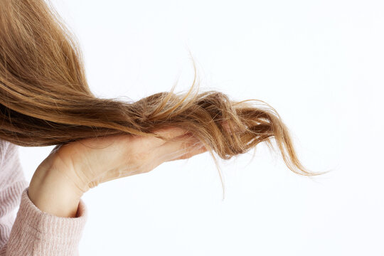 A close-up view shows a person holding a large lock of long light brown hair in their palm against a white background, displaying dry and tangled ends.