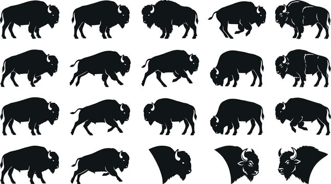 American Bison and Buffalo Silhouette Icon Set Featuring Running Poses, Grazing Animals, and Horned Head Profiles for Wild West National Park and Ranch Branding Designs