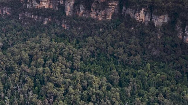 Aerial View of Sandstone Cliffs and Eucalyptus Forest in Blue Mountains