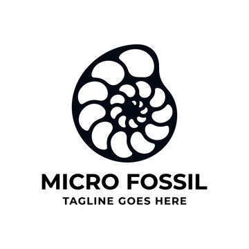 Nautilus shell fossil logo with spiral geometric pattern.