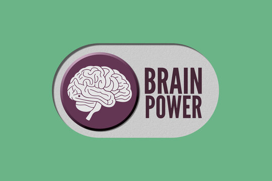 Brain power concept with human brain switch