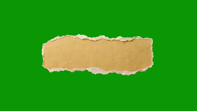 Dynamic stop motion paper transitions with wrinkled white textures. Ripped sheet of paper reveal overlays for creative video edits. Handcrafted realistic elements in Apple ProRes 422