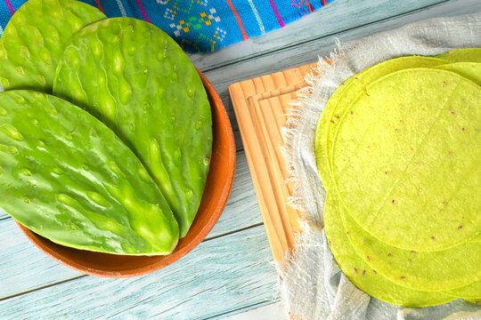 Traditional Mexican ingredient fresh nopales cactus pads and green tortillas in a rustic table