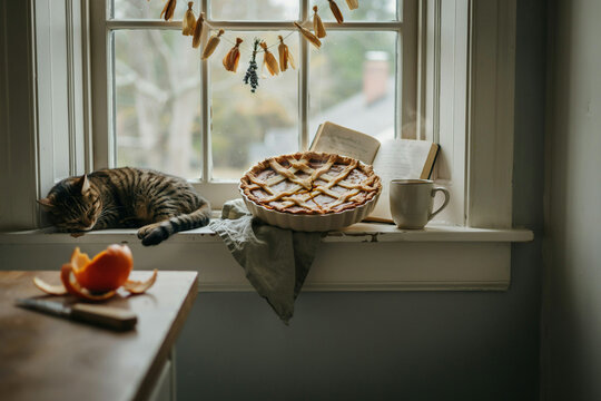 A contented domestic tabby cat sleeps on a rustic window sill next to a delicious golden homemade lattice crust pie an old open book a warm mug and dried autumn garland