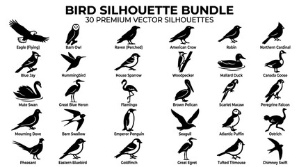 Obraz premium Bird Silhouette Bundle. 30 Premium Vector Silhouettes. Black Bird Icons Collection, Nature Animal Art. Simple Outline Set, Wildlife Shapes