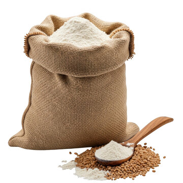 Burlap sack filled with wheat flour isolated on transparent background