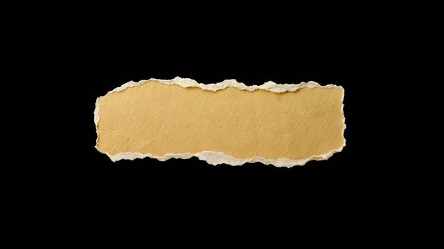 Empty old note piece edge strip templates. Animated torn paper frame and stop motion ripped crumpled page sheet for scrapbooking and business study ideas in Apple ProRes 422
