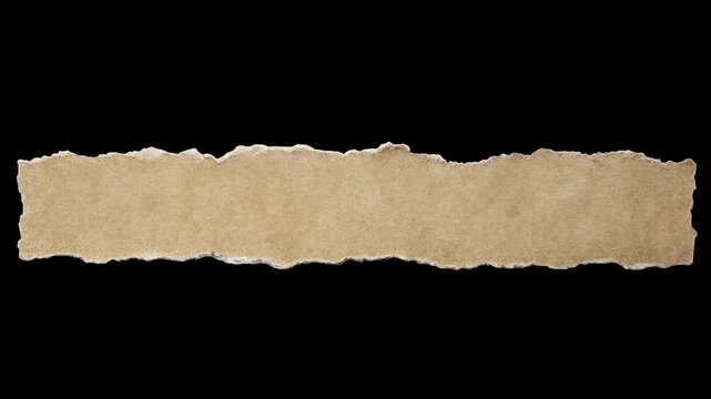 Handcrafted stop motion paper transitions and wrinkled white texture overlays. Dynamic ripped page sheet background loops for creative social media edits in Apple ProRes 422
