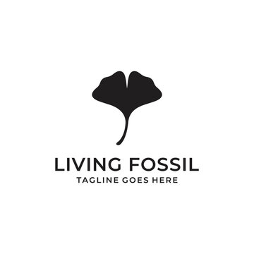 Minimalist ginkgo biloba leaf graphic representing longevity, ancient nature, and natural health for herbal wellness brands.