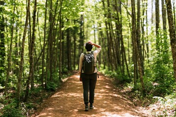 Fototapeta premium Hiker woman walking on a forest trail during a sunny day of hiking and adventure