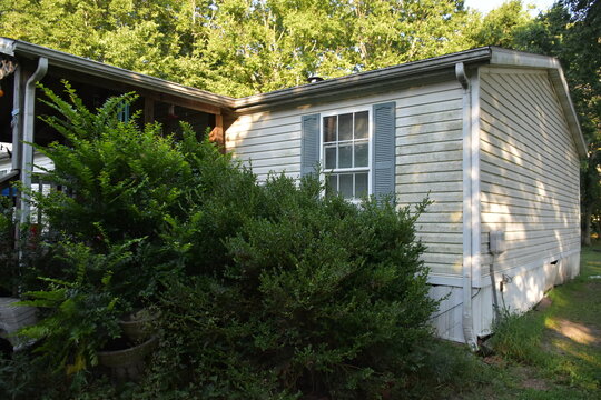 Overgrown Garden by a House