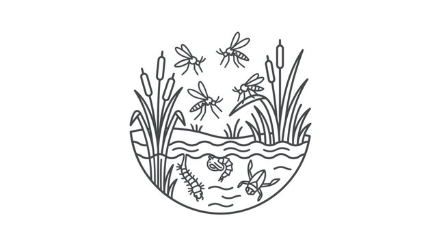 Professional Black and White Line Drawing of Wetland Ecosystem with Insects Amphibians and Aquatic Plants in a Circular Pond