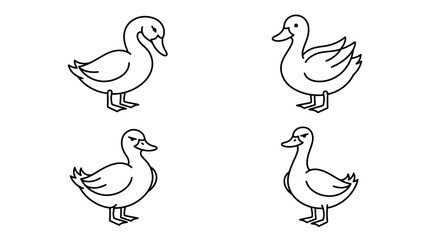 Obraz premium Standing duckling illustrations in minimalist line art style.
