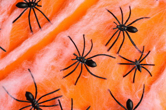 Cobweb with spiders for Halloween party on orange background