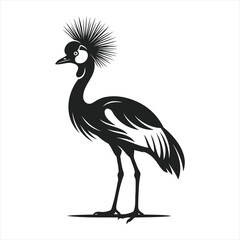 Obraz premium Black and white vector illustration of a crowned crane standing gracefully
