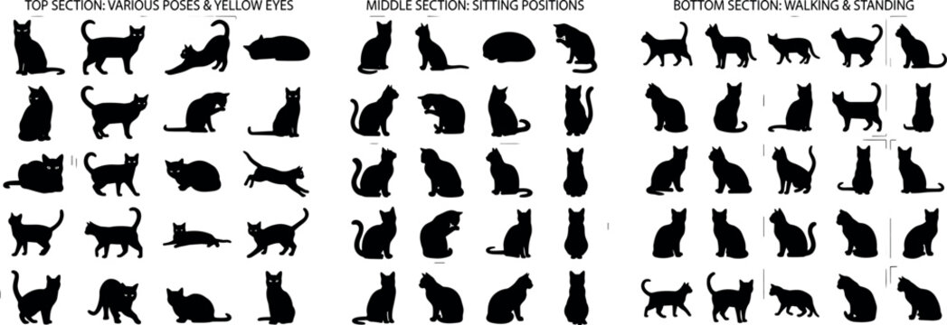Black Cat Silhouette Mega Vector Collection with Various Poses Sitting Walking and Grooming Shapes
