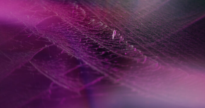 Blur optical gleam. Abstract purple flare. Vibrant neon blue red color lens shiny on glisten flash radiant film rainbow light art luminous background.