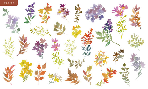 Autumn botanical vector clipart set with abstract hand-painted watercolor autumn flowers, berries, and leaves for banners, stationery, greeting cards, and surface design