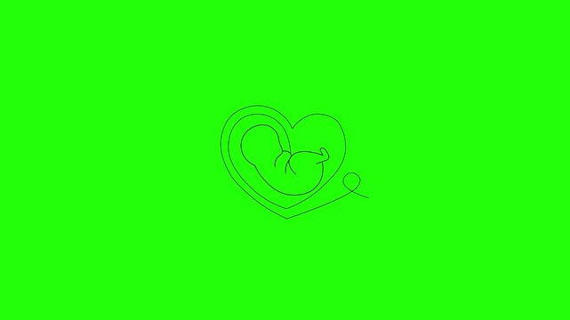 Outline animation of a baby in the womb, umbilical cord, and fetus. Alpha video transition. Motion graphics. Isolated illustration.