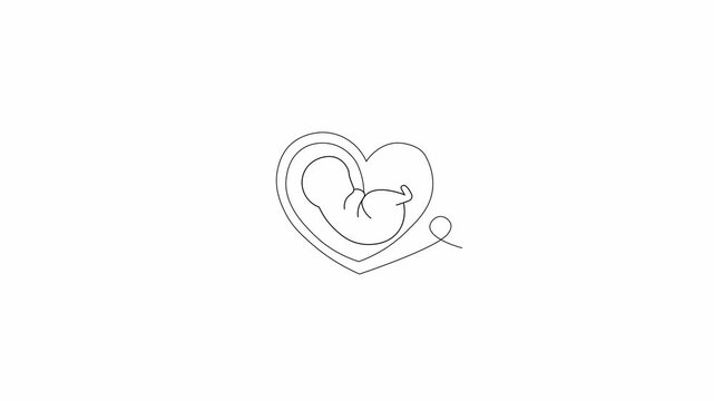Outline animation of a baby in the womb, umbilical cord, and fetus. Alpha video transition. Motion graphics. Isolated illustration.