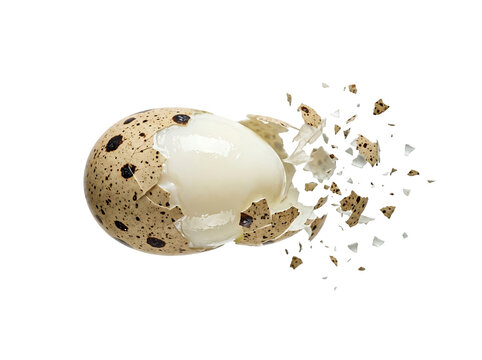 Cracked white and brown speckled bird egg isolated on transparent background.
