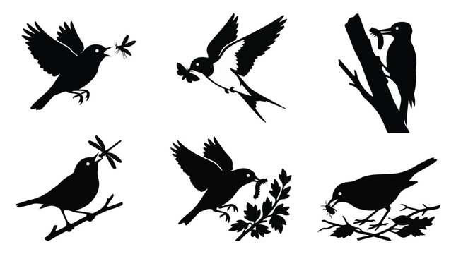 A set of six birds eating worms silhouette vector illustration on a white background
