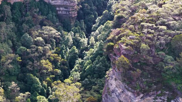 Aerial View of Lush Green Valley in Blue Mountains Australia