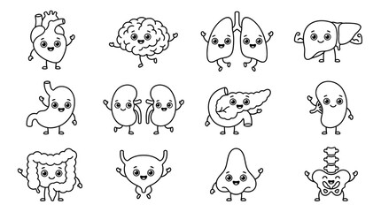 Fototapeta premium Set of human organ characters with cute faces, outline style, anatomy illustration for medical education, healthcare biology symbols, flat line