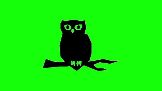 Halloween owl, trick or treat icon sign, isolated on green screen. Vector cartoon animation. Advertisement, illustration idea, party and celebration symbol. Element for video