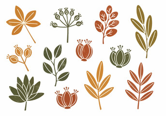 Obraz premium Colorful autumn leaves and poppy seed heads illustration