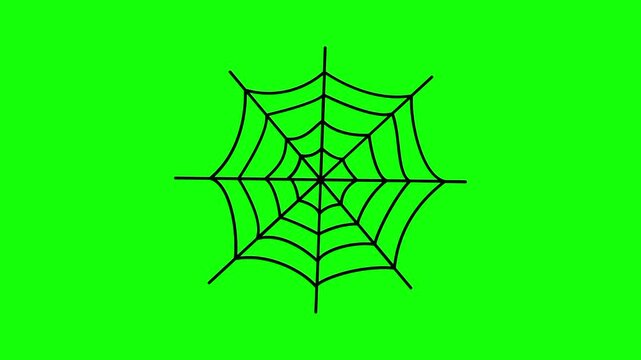 Halloween spider web, spiders net, trick or treat icon sign, isolated on green screen. Vector cartoon animation. Advertisement, illustration idea, party and celebration symbol. Element for video.
