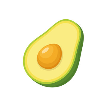 Flat Vector Avocado Half Isolated on White Background
