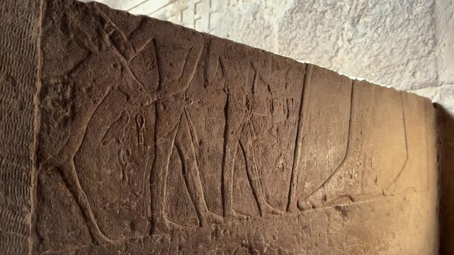 Close Up of Ancient Egyptian Wall Relief Showing Procession of Figures Inside the Mortuary Temple of Khufu at Giza Necropolis