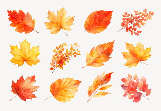 Vibrant Watercolor Autumn Leaves Element Design Collection