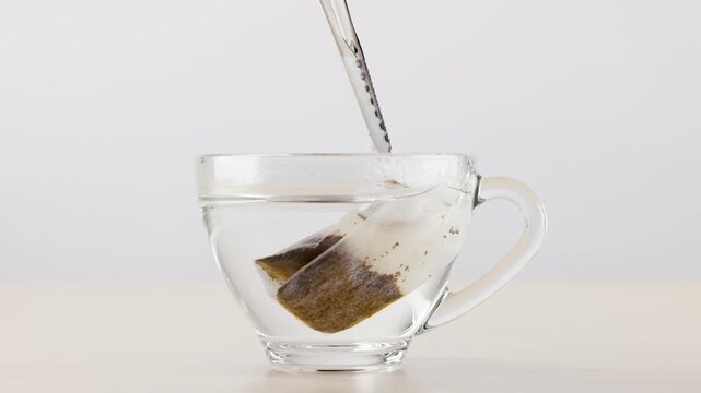Herbal Tea Bag Steeping in Glass Cup of Hot Water