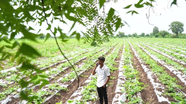 Young indian farmer talking on mobile phone while observing at water melon agriculture field 