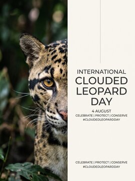 International Clouded Leopard Day August 4 poster with half face portrait of wild cat, wildlife conservation banner template