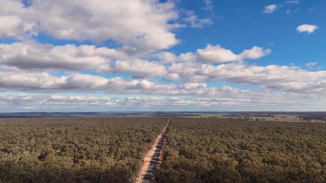 Aerial View of Straight Outback Road Through Eucalyptus Forest