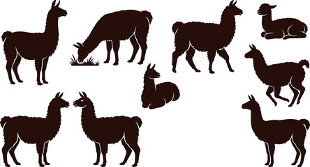 Naklejka premium Llama and Alpaca Silhouette Vector Set Featuring South American Animals in Standing Grazing Walking and Lying Poses for Farm Graphic Designs