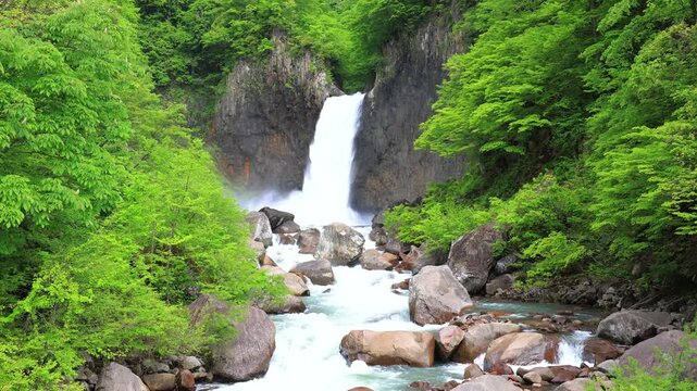 雪解けの苗名滝と新緑