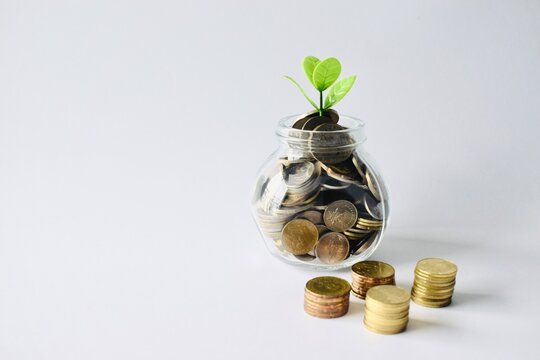 A savings and long-term investment concept presenting a coin jar with a growing green leaf bud next to organized stacks of gold coins.