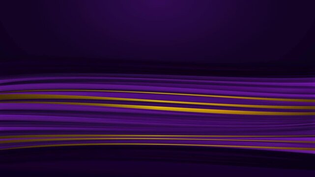 Elegant purple and gold waving lines flowing across dark background for premium cinematic motion design
